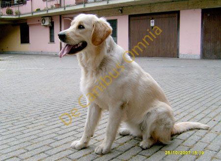005-Zoe-l-inarrestabile