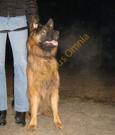 011-Bruce-interroga-il-buio