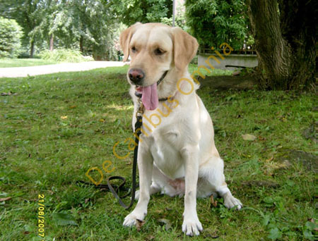 013-Lucy-dolce-Lucy